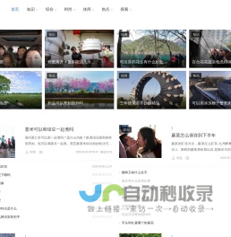 伯道无儿网