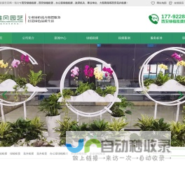 西安绿植租赁,西安绿植租摆,西安花卉租赁,绿植租摆,绿植租赁,办公室绿植租摆—西安雅风绿植租摆