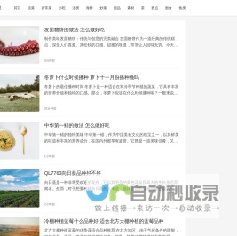 三龙镇政务服务网