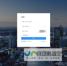 网聚