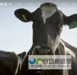特视维自动管理后台-特视维自动化装备 (上海)有限公司