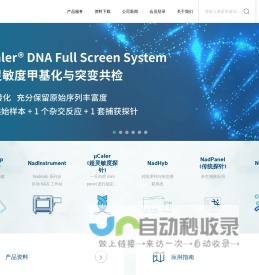寻鱼网络科技（上海）有限公司
