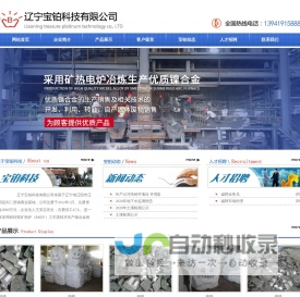 辽阳宝铂科技有限公司