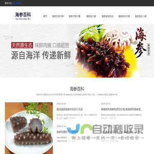 网站截图