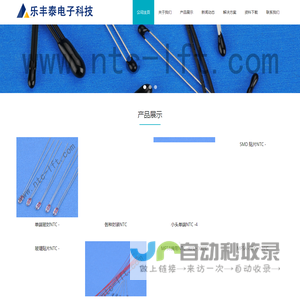 乐丰泰电子科技有限公司