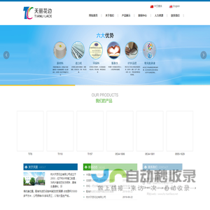 杭州天丽花边有限公司	_其它