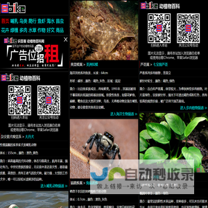 Sbike，识百客，动植物百科网，国内最专业的动物、宠物、植物、花卉科普信息分类、资料速查网站，足不出户的动植物乐园！