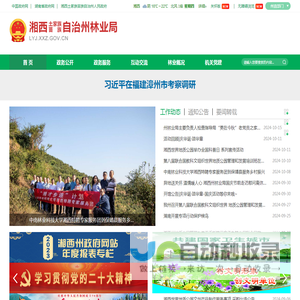 网站截图