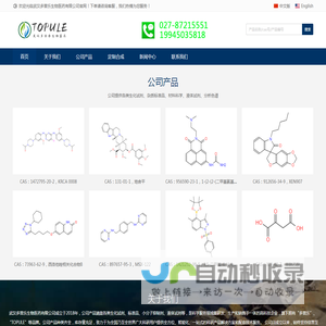 网站截图