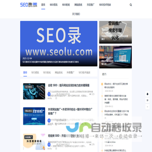 SEO_网站优化_SEO优化公司_关键词排名_谷歌推广_seo快速排名_SEO录优化网