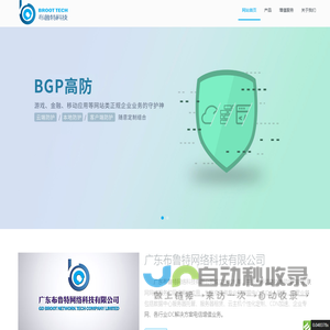 广东布鲁特网络科技有限公司