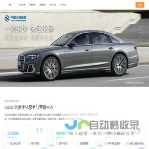 数字营销解决方案专家