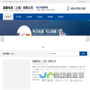 网站截图