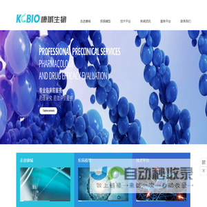 网站截图