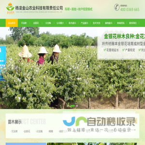 陕西元宝枫生产_油用牡丹加工_金银花种植_文冠果示范基地|杨凌金山农业科技有限责任公司