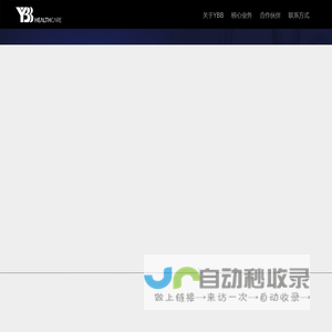 上海扬势营销咨询有限公司 YBB