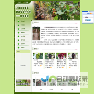 上海勤甜葡萄种植专业合作社