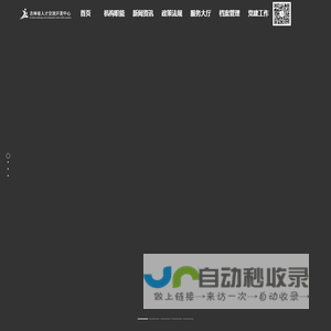 网站截图