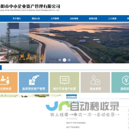 南阳市中小企业资产管理有限公司