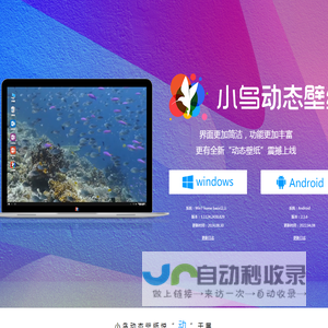 小鸟动态壁纸官网——动态桌面壁纸下载-成都盈畅时代文化传播有限公司