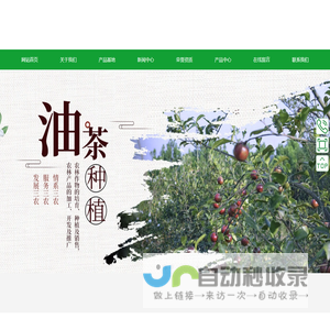 中国林产工业协会