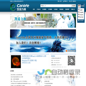 网站截图