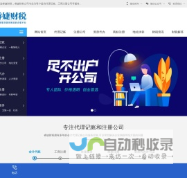 代理记账-会计代账做账报税-代理记账公司-代理记账网