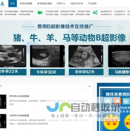 兽用B超图像_兽用B超机视频_动物B超机方法-博祥来兽用B超仪交流网