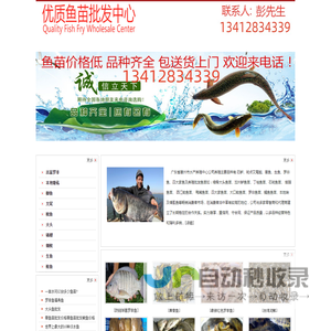 中山鱼苗场13412834339中山鱼苗批发市场  中山水产市场