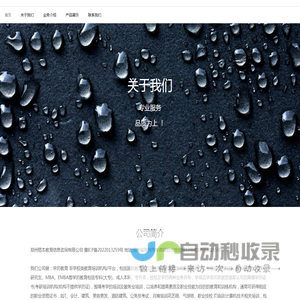 网站截图