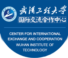 武汉工程大学国际交流与合作处
