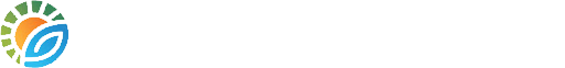 开封菊花_菊花基地_菊花苗-开封市丰禾农业发展有限公司