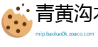 青黄沟木网