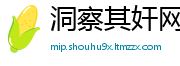 洞察其奸网