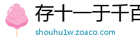 存十一于千百网