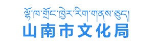 山南市文化局