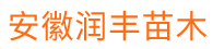 梨树苗_桃树苗_果树苗批发价格-安徽寿县润丰苗木种植有限公司