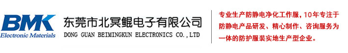 东莞市北冥鲲电子有限公司