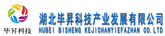 湖北毕昇科技产业发展有限公司