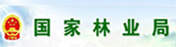 岑溪市软枝油茶种子园 - 岑溪市国家油茶良种基地