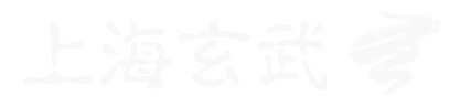 上海玄武 - 综合型的智慧城市服务商