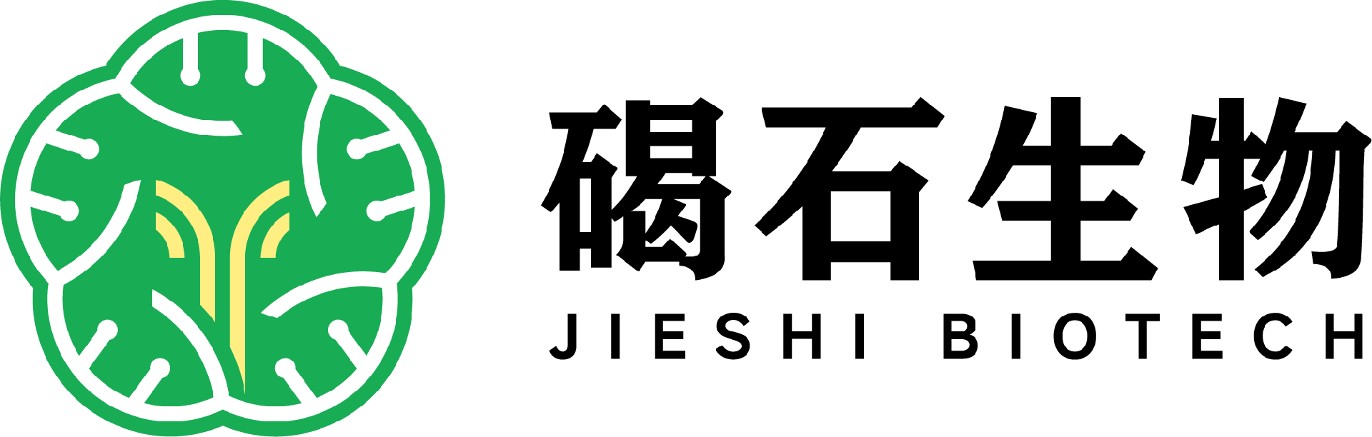 蛋白纯化-生物大分子互作-重组蛋白-抗体-南京碣石生物技术有限公司