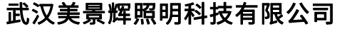 武汉美景辉照明科技有限公司