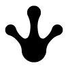 张京林的个人主页