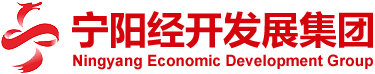 山东宁阳经济开发区发展集团有限公司