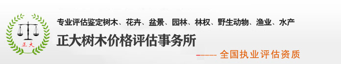 树木评估|树木价格评估,果树评估|果树价格评估_正大树木价格评估事务所有限公司-正大价格评估优先公司 正大树木价格评估事务所