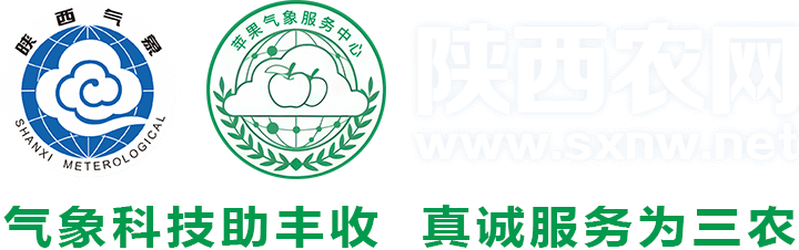 陕西农网