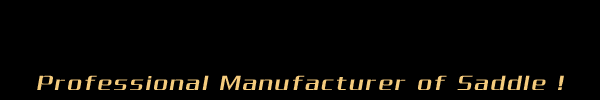 宁波挺博车业有限公司 |Ningbo Tingbo Bicycle Co.,Ltd.| Professional Manufacturer of Saddle !