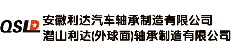 安徽利达轴承制造有限公司