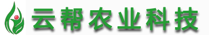 河南云帮农业科技有限公司-红薯脱毒种苗_草莓脱毒种苗_百合脱毒种苗_白芨脱毒种苗